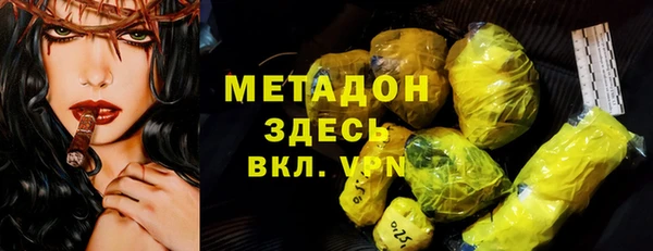 прущие грибы Магас