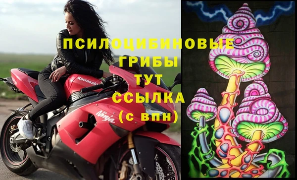 2c-b Мегион