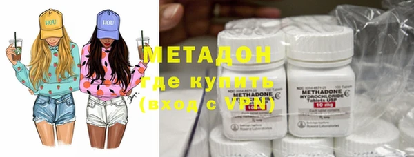 прущие грибы Магас