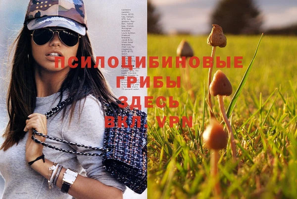 мескалин Медногорск
