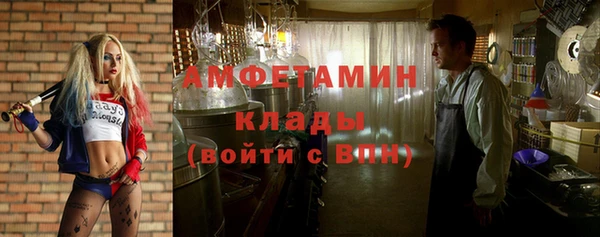 прущие грибы Магас