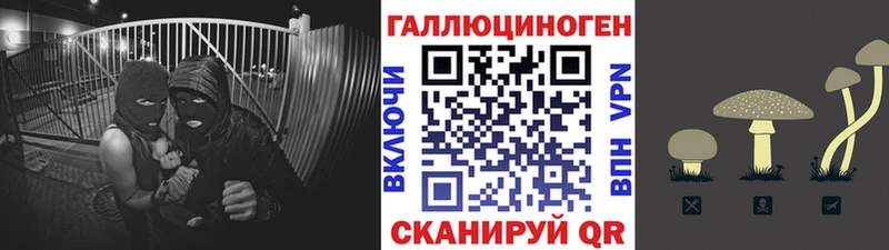 Купить  Кинель  Галлюциногенные грибы GOLDEN TEACHER 